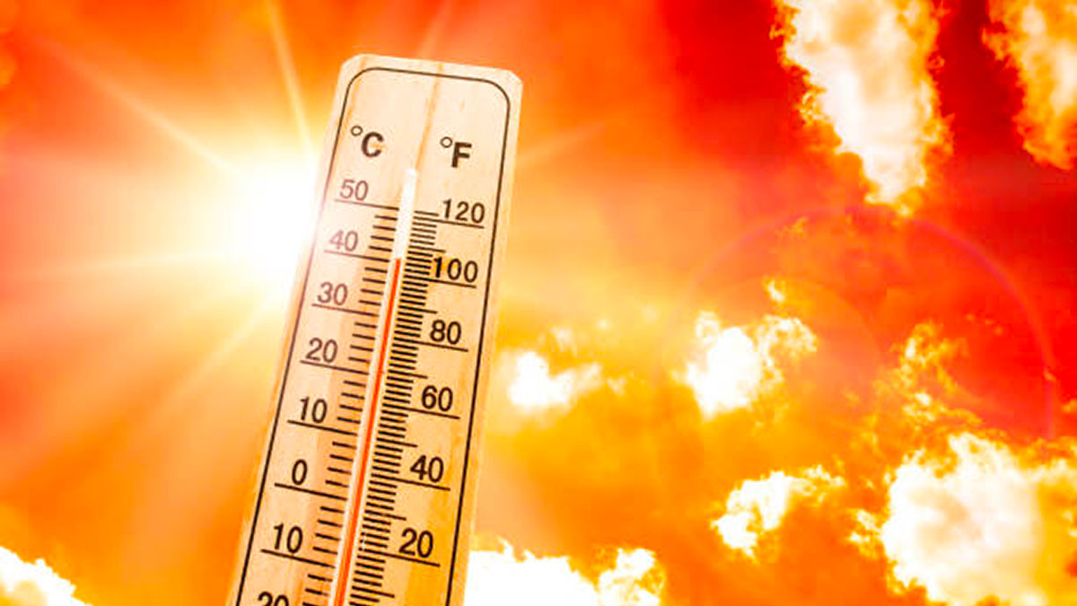 Vitry doit changer pour affronter le défi climatique